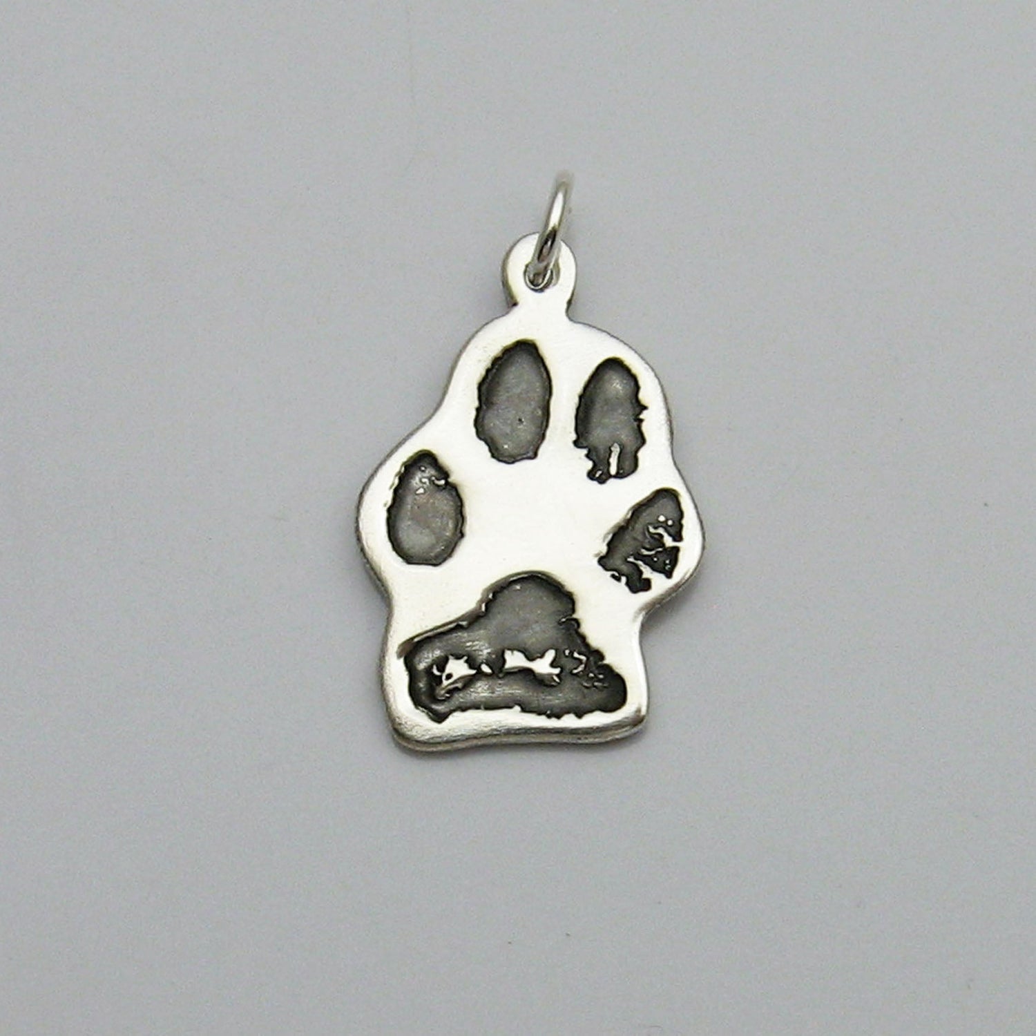 Paw Prints
