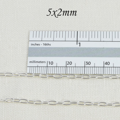 Paperclip Chain with Ruler for Size Reference